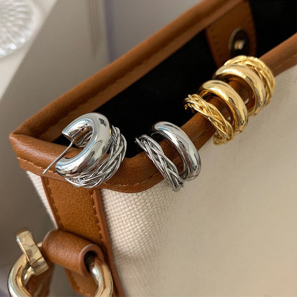 Double-Layer Twist Metal Earrings