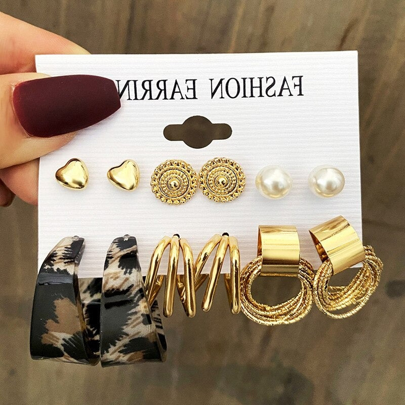 Leopard Print Type-C Dangle Earring Set