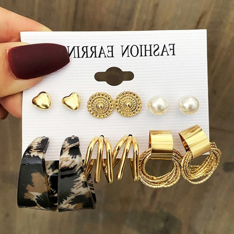 Leopard Print Type-C Dangle Earring Set